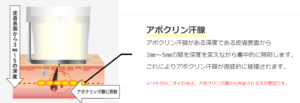 ビューホット原理