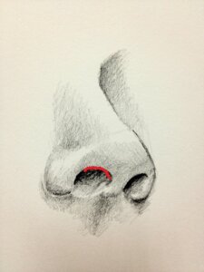 鼻プロテーゼどこから入れるのか