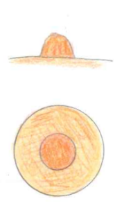 乳首の理想の比率