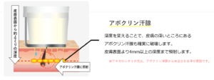 ビューホットの原理