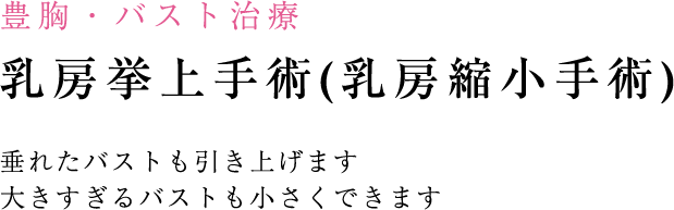 乳房挙上手術・乳房縮小手術