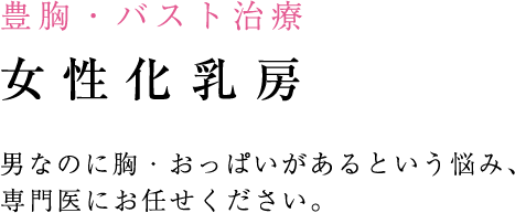 豊胸・バスト治療 女性化乳房 男なのに胸・おっぱいがあるという悩み、専門医にお任せください。