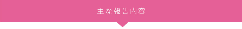 主な報告内容