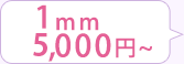 1mm 3,000円～