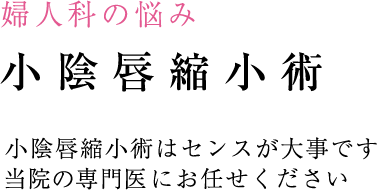 小顔・輪郭の治療 小顔・輪郭の治療のポイント 注射でも劇的な効果が望めます