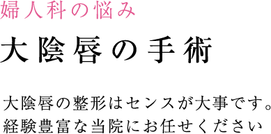 大陰唇の手術