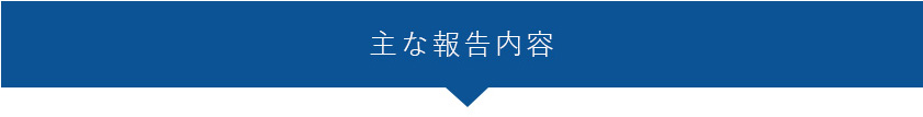 主な報告内容
