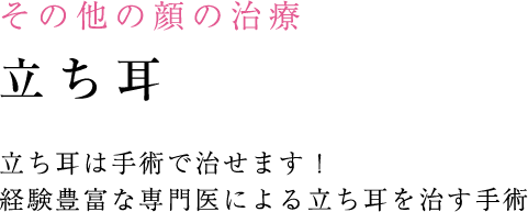 しみ・あざの治療 しみ治療のポイント メイクやセルフケアで消えないしみ、何とかしたいあなたへ