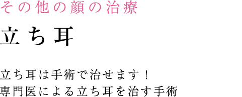 しみ・あざの治療 しみ治療のポイント メイクやセルフケアで消えないしみ、何とかしたいあなたへ