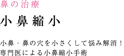 鼻の治療 小鼻縮小 小鼻・鼻の穴を小さくして悩み解消！専門医による小鼻縮小手術