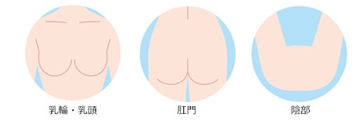 アポクリン汗腺が分布する部位