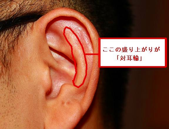 対耳輪 対耳輪