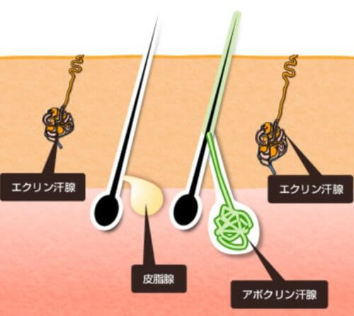 ワキガ治療についてのこだわり