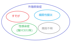すそわきがと外陰部臭症の原因