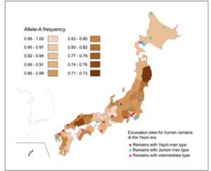 ワキガ症の全国マップ