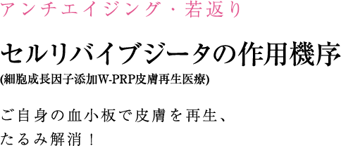 しみ・あざの治療 しみ治療のポイント メイクやセルフケアで消えないしみ、何とかしたいあなたへ