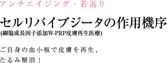 しみ・あざの治療 しみ治療のポイント メイクやセルフケアで消えないしみ、何とかしたいあなたへ