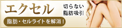 エクセル 切らない脂肪吸引 脂肪・セルライトを解消！