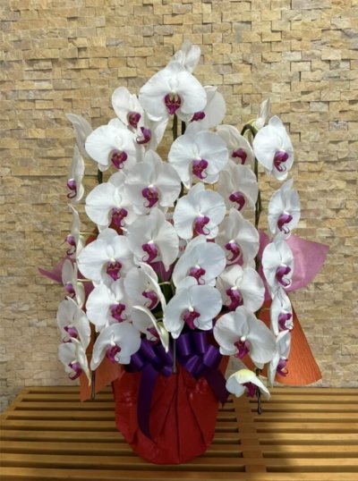 患者様よりお祝いが！