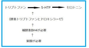 セロトニンの生成